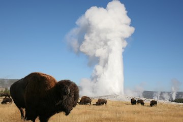 Best Airport To Fly Into For Yellowstone